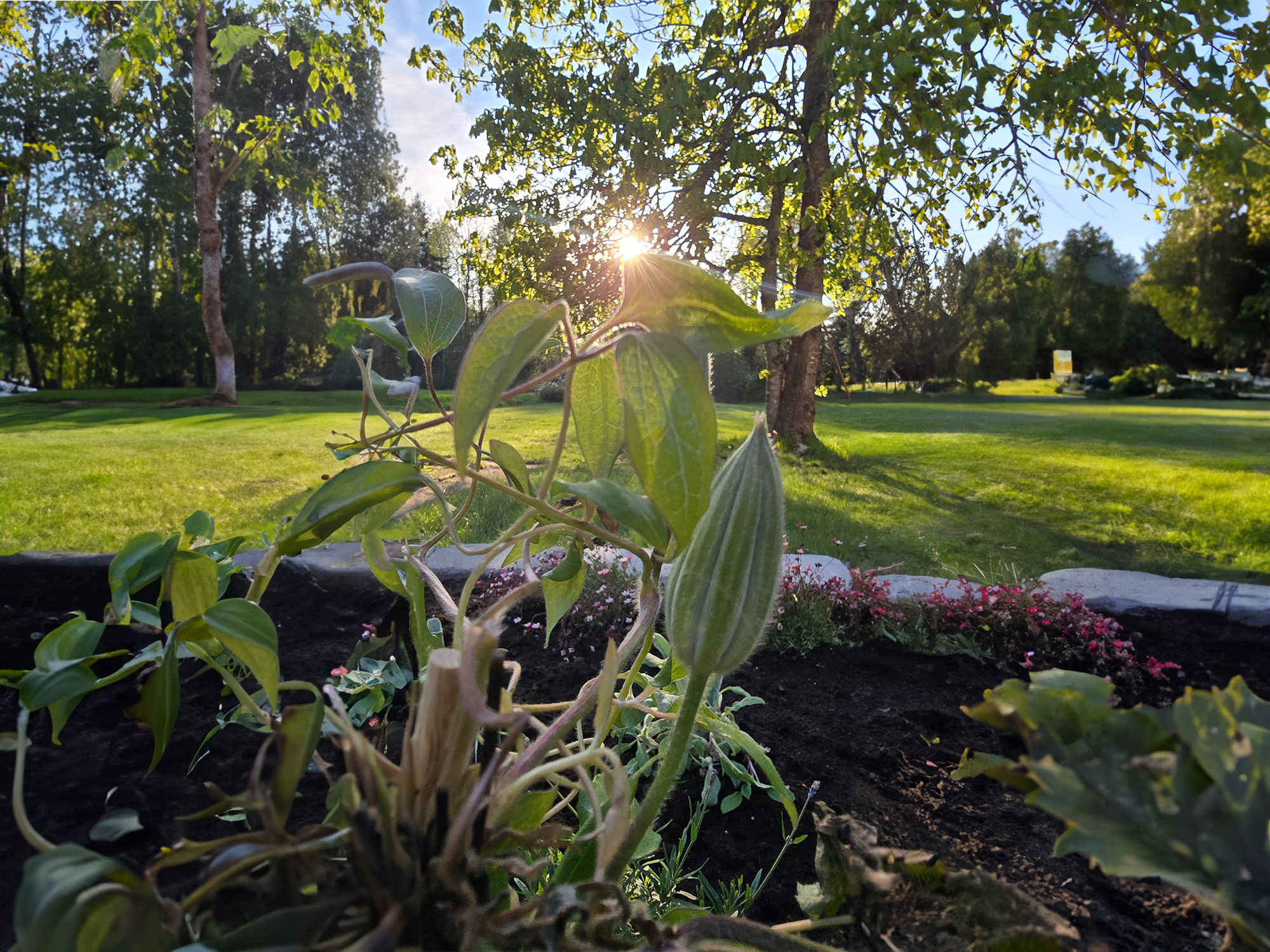 anlita fastighetsforvaltare